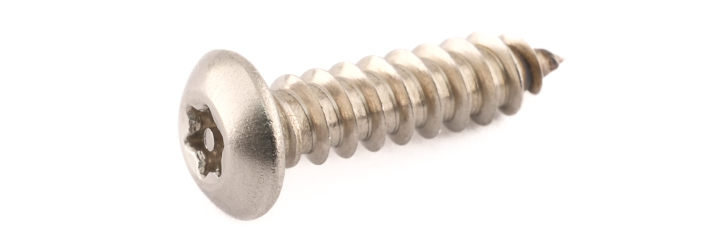 Linsenkopf mit TORX mit Zapfen