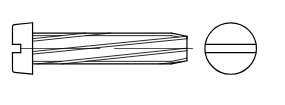 Gew.-Schneidschrauben 3 x 6mm VE=1000