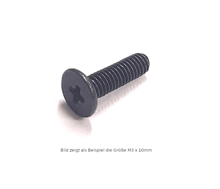 Kreuzschlitzschrauben mit flachem, großem Kopf, Stahl schwarz, M3x6mm, 100Stück