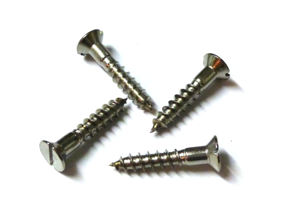 Holzschrauben 2,5 x 20mm VE=20