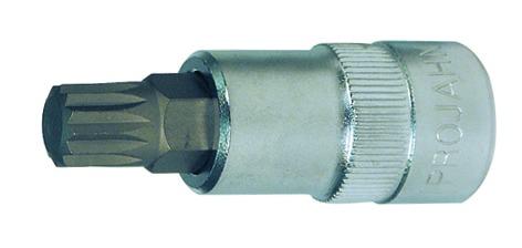 Projahn - 1/2" Bit Stecknuss L100 mm Vielzahn M16 - 1 Stück