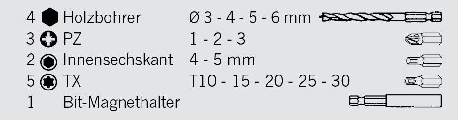 Projahn - Bohrer-Bit-Box 15-tlg. Holzbohrer mit E 6.3 Schaft Ø 3, 4, 5, 6 mm Bits: PZ, TX, Hex - 1 Stück