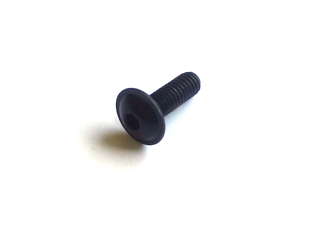 Flachkopfschrauben M 5 x 12 KP = 50 Stück